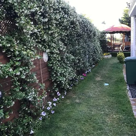 Full Sea View Peaceful With Private Garden *
